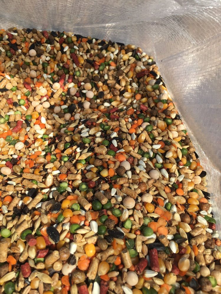 TULARE BEST FEED Updated October 2024 33 Photos 1865 W Tulare Ave