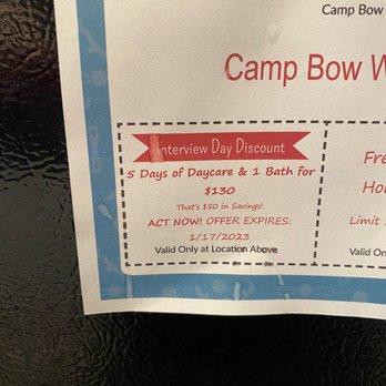 Camp Bow Wow - Pet Training Near Me - Salt Lake City, Utah