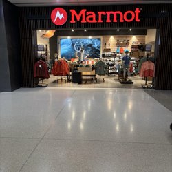 Marmot