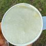 Del's Lemonade