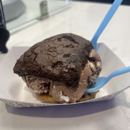 Brownie cookie s'mores ice cream sandwich