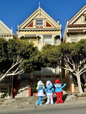 The Painted Ladies by null