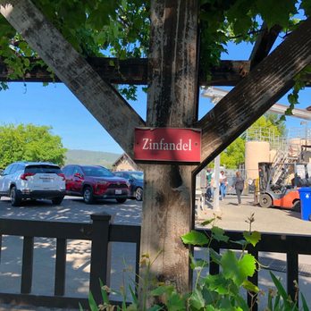 V Sattui Winery - Zinfandel Grapes - Wineries Near Me - Saint Helena, California
