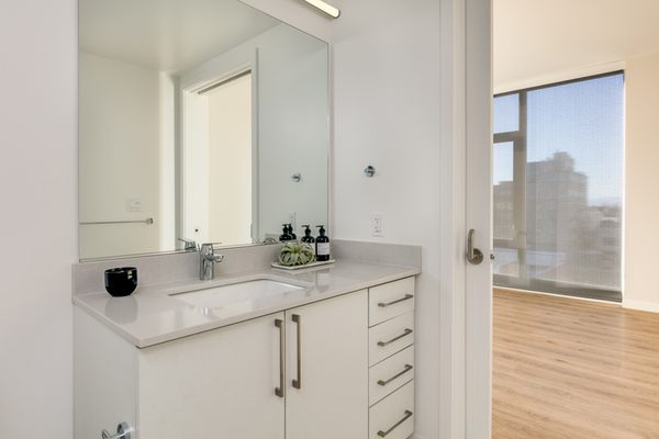 1717 Webster by null