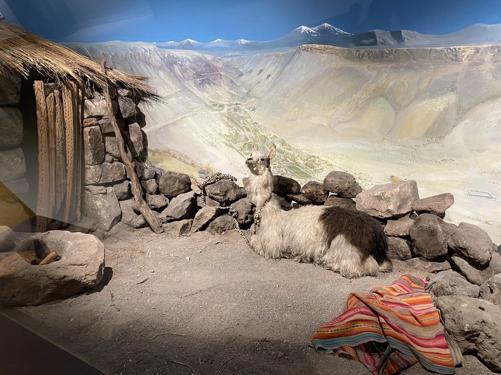 Museo Nacional de Historia Natural