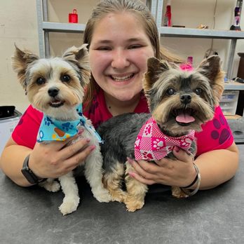 Fur Factory Pet Grooming - Pet Groomers Near Me Fur Factory Pet Grooming - Pet Groomers Near Me