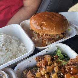 Spicy Chicken Sandwich