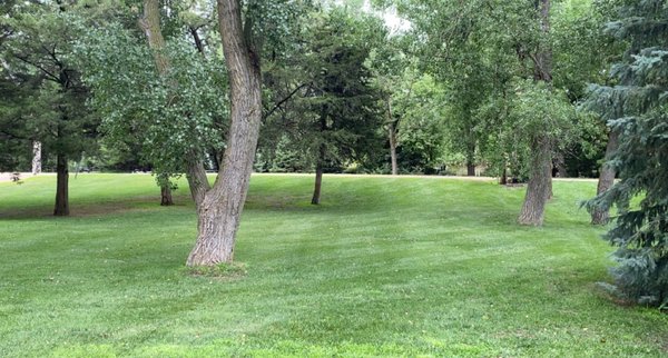 CW Lawn & Landscapes