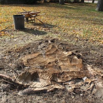 Gray's Outdoor Services - Gray's "finished" job, which they hid with wood chips - Landscaping Near Me - Garden City, Michigan