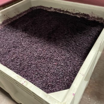 Toast Tours - We got to punch down the cap on the fermenting grapes - Wine Tours Near Me - Paso Robles, California Toast Tours - We got to punch down the cap on the fermenting grapes - Wine Tours Near Me - Paso Robles, California