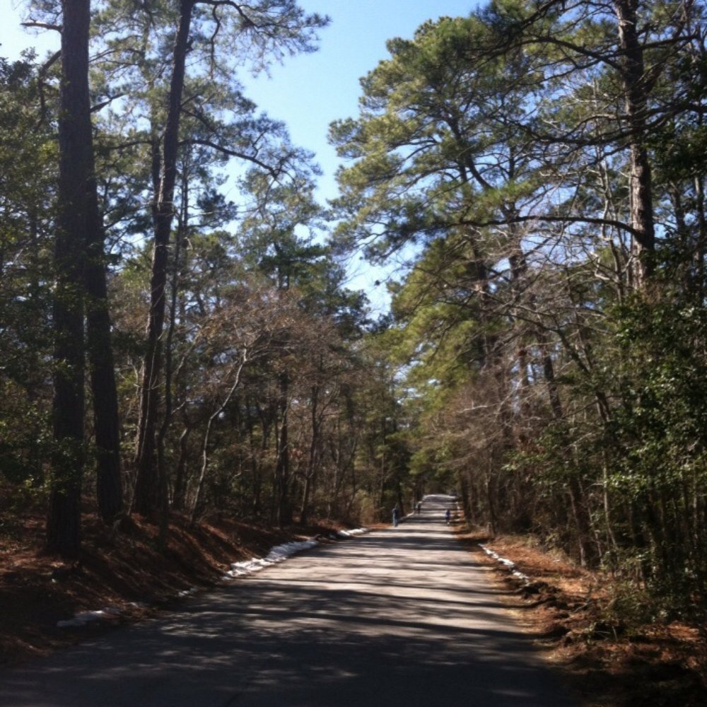 First Landing State Park - Road 2 - Parks Near Me - Virginia Beach, Virginia First Landing State Park - Road 2 - Parks Near Me - Virginia Beach, Virginia