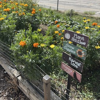 Finding Nectar - Nurseries & Gardening Near Me - Arvada, Colorado