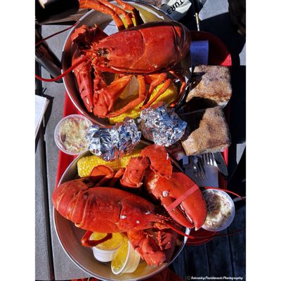 Thurston's Lobster Pound by null