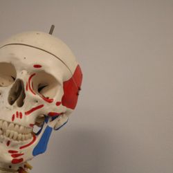 Cutting Edge Physical Therapy