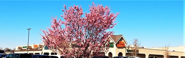 Stew Leonard's by null