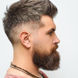 North Mesa Barber - Professional fade with beard trim and shaping.