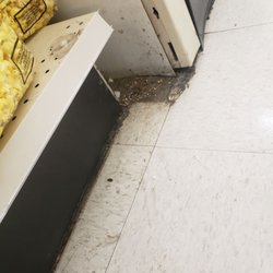 Marc's Stores - Thats nothing compared to the mold and dirt all over the damn sections disgusting!