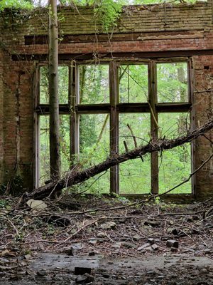 Beelitz-Heilstätten by null