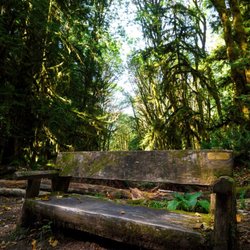 Moments In Time Trail