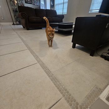 DSR Company Services - Tile flooring with coin tile transition - Flooring Near Me DSR Company Services - Tile flooring with coin tile transition - Flooring Near Me