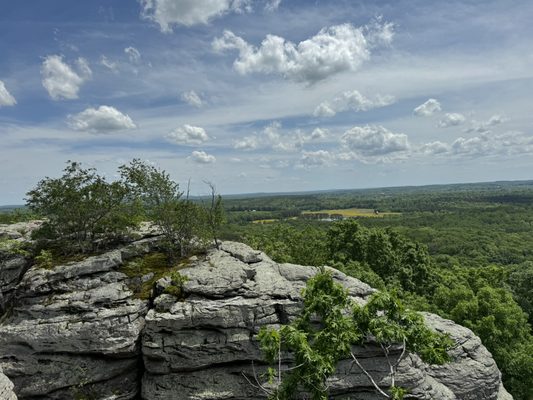 Shawnee National Forest by null
