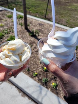 Wild Willy’s Ice Cream by null