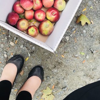 Wakefield Estate - Fresh Local Apples. - Community Gardens Near Me - Milton, Massachusetts