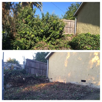 Jae Tree Service - This is a look at the before and after of the other side of the slope. It's like a whole new world back there! - Tree Services Near Me Jae Tree Service - This is a look at the before and after of the other side of the slope. It's like a whole new world back there! - Tree Services Near Me