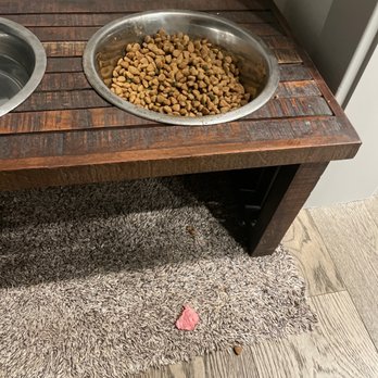 Brass Door - Prime rib our dog wouldn't eat - American Near Me - San Ramon, California Brass Door - Prime rib our dog wouldn't eat - American Near Me - San Ramon, California