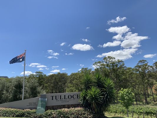 Tulloch Wines by null