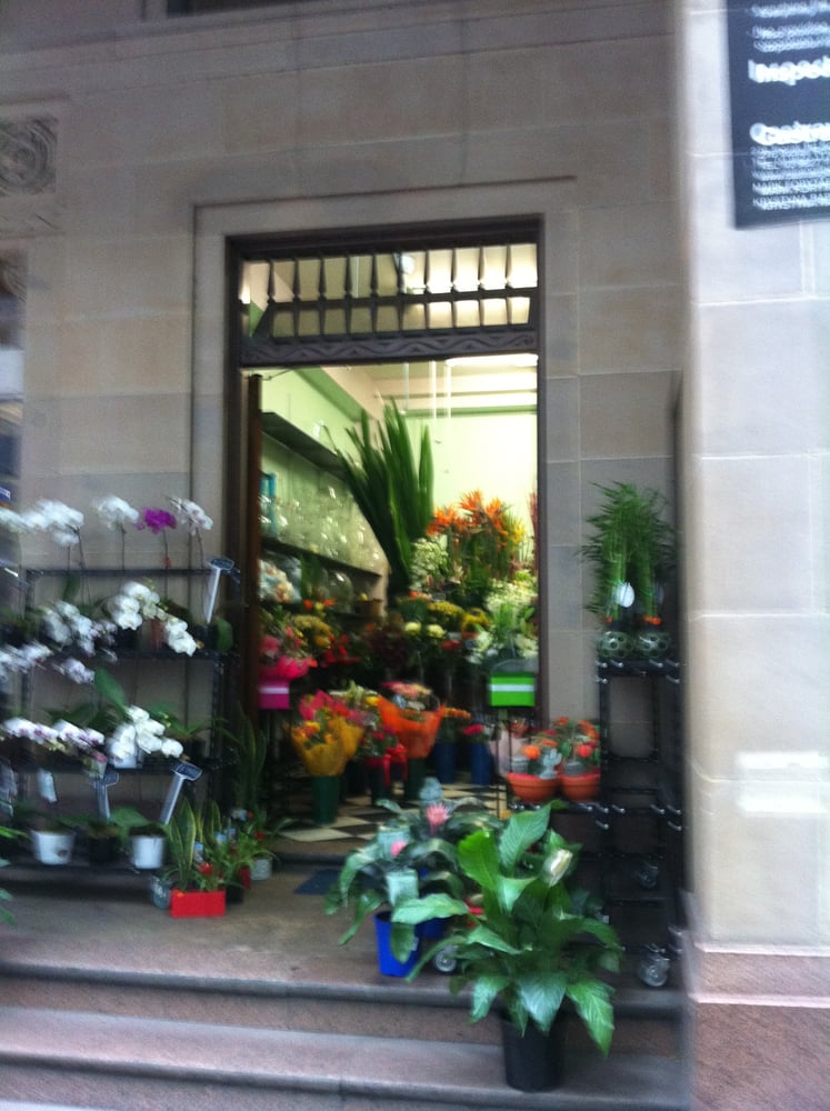 FLASH FLOWERS Updated October 2024 33 Flemington Rd, North