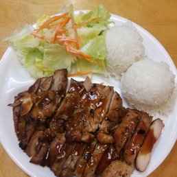 a plate of meat and rice
