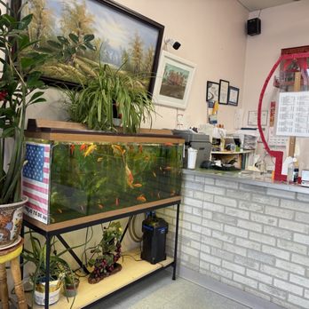 Hunan Palace Chinese Restaurant - Interior - Chinese Near Me - Elmhurst, Illinois Hunan Palace Chinese Restaurant - Interior - Chinese Near Me - Elmhurst, Illinois
