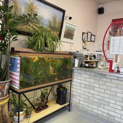 Hunan Palace Chinese Restaurant - Interior