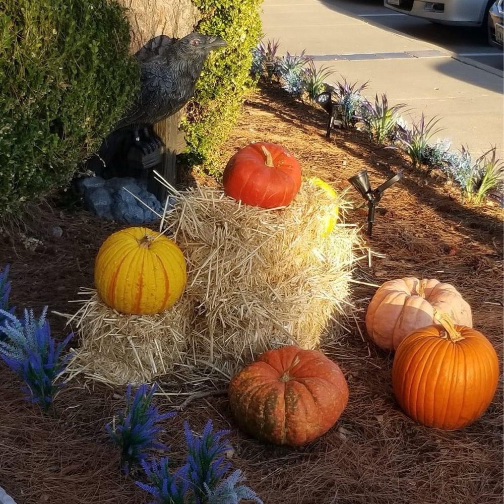 Haunted Castle Cafe - Seafood Near Me - Plano, Texas Haunted Castle Cafe - Seafood Near Me - Plano, Texas