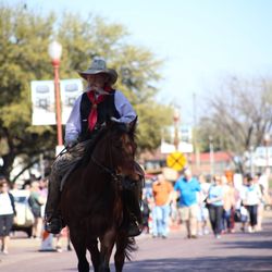 Fort Worth Stockyards - Cattle drive.
