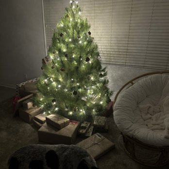 Peltzer Pines - Silverado - Christmas Trees Near Me - Silverado, California