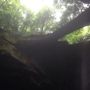 Natural Bridge Park - Looking up at the natural bridge - Parks Near Me - Natural Bridge, Alabama