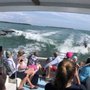Photo of Boca Boat Cruises