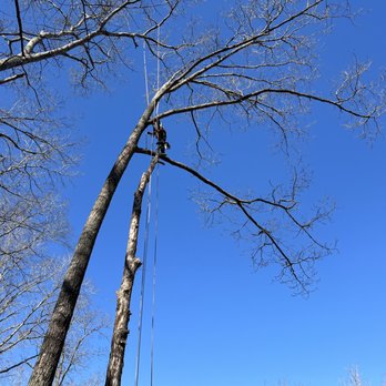 A&M Services - Tree Services Near Me - Dallas, Georgia A&M Services - Tree Services Near Me - Dallas, Georgia