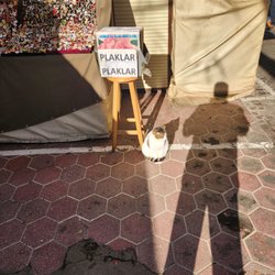 Sahaflar Çarşısı