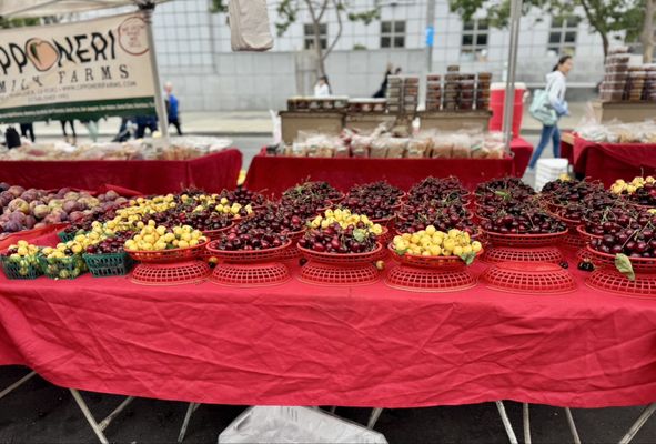 Heart of the City Farmers' Market by null