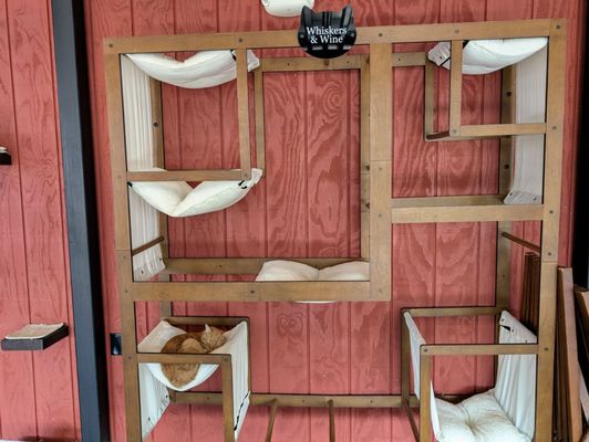 Whiskers & Wine Cat Cafe by null