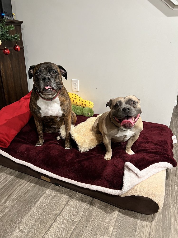 DOCTON ANIMAL CLINIC Updated October 2024 23 Photos & 22 Reviews