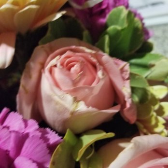 Carina Floral - Wedding Planning Near Me - Covina, California
