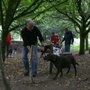 Photo of The Well Heeled Dog Club