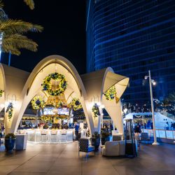 Oasis Ice Rink at Fontainebleau