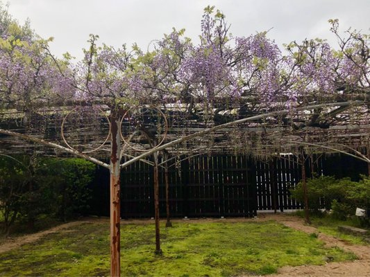 Chinoike Jigoku by null