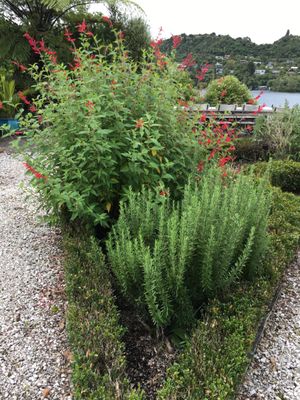 Solitaire Lodge by null