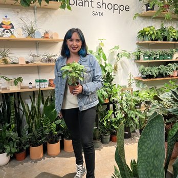 Plant Shoppe - Nurseries & Gardening Near Me - San Antonio, Texas Plant Shoppe - Nurseries & Gardening Near Me - San Antonio, Texas